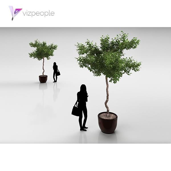 Tree 3D Model - دانلود مدل سه بعدی درخت - آبجکت سه بعدی درخت - دانلود مدل سه بعدی fbx - دانلود مدل سه بعدی obj -Tree 3d model free download  - Tree 3d Object - Tree OBJ 3d models - Tree FBX 3d Models - 